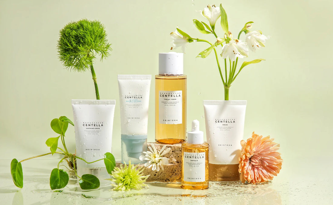 Bienvenido al Blog Exclusivo para Mayoristas Harumi