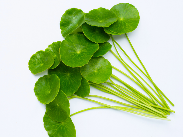 Centella Asiática